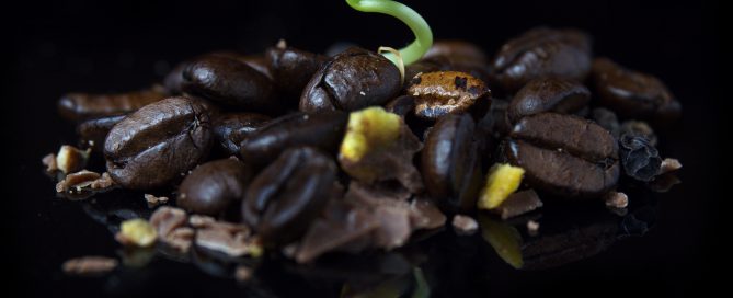Plant grows in pile of coffee beans, pepper, and chocolate